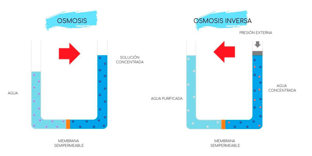 Proceso de Ósmosis vs Ósmosis Inversa